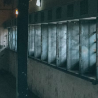 Are We Prison Abolitionists? 