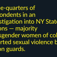 Three-quarters of respondents in an investigation into NY State Prisons — majority transgender women of color— reported sexual violence by prison guards.