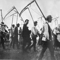 Stalin and the Soviet Experience