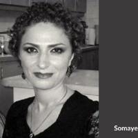 Somayeh Kargar