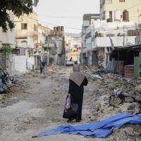 Palestinian woman in Jenin after Israeli invasion