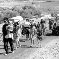Palestinian refugees flee in 1948.