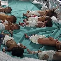 Babies in incubator