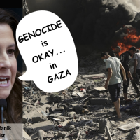 Stefanik: Rep. Elise Stefanik, MAGA fascist, says “GENOCIDE is OK... in GAZA”