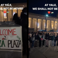 Screengrabs from video of Yale students’ occupation