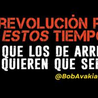 Una revolucion real, en estos tiempos: lo que los de arriba no quieren que sepas