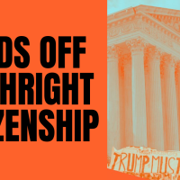 HANDS OFF BIRTHRIGHT CITIZENSHIP
