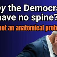 Everybody talks about how the democrats have no spine...