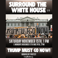 Surround the White House 1.0