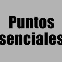 Puntos esenciales...