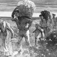 Enslaved people leaving the fields, with heavy loads.