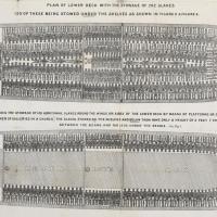 A slave ship showing typical arrangement of 292 slaves, 130 stowed under shelves (Figure 3).