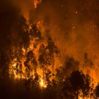 A wildfire burns near Concepcion, Chile, January 19, 2026.