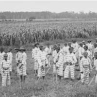 Child-prisoners-used-in-leased-convict-labor.jpg